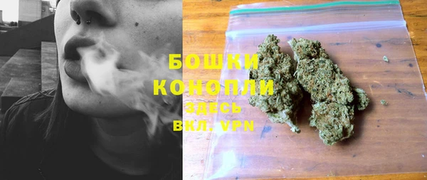 PSILOCYBIN Белоозёрский