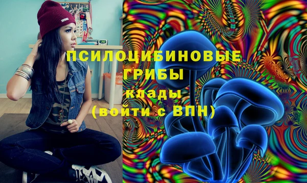 PSILOCYBIN Белоозёрский