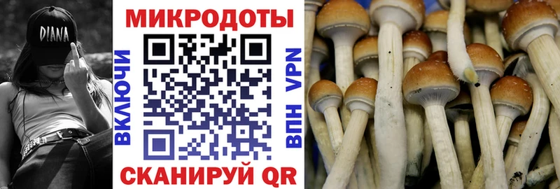 Псилоцибиновые грибы GOLDEN TEACHER  Михайлов 