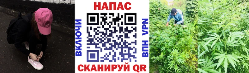 Шишки марихуана индика  Михайлов 